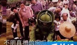 娱乐吃瓜群众2,揭秘娱乐圈背后的秘密与八卦